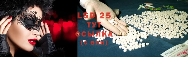PSILOCYBIN Гусиноозёрск