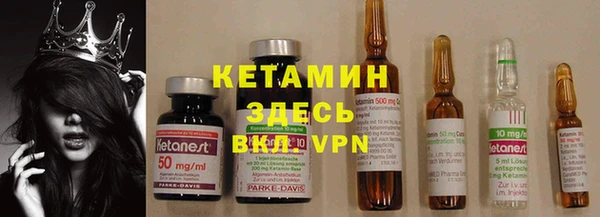 PSILOCYBIN Гусиноозёрск