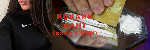 PSILOCYBIN Гусиноозёрск
