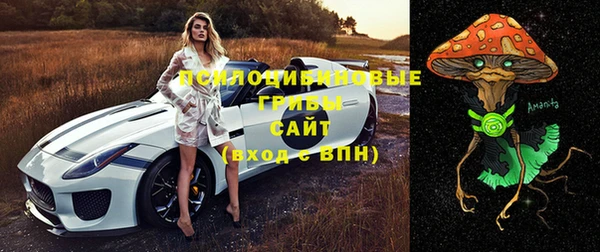 прущая мука Гусев