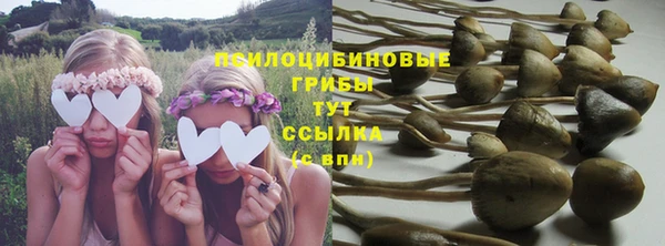 прущая мука Гусев