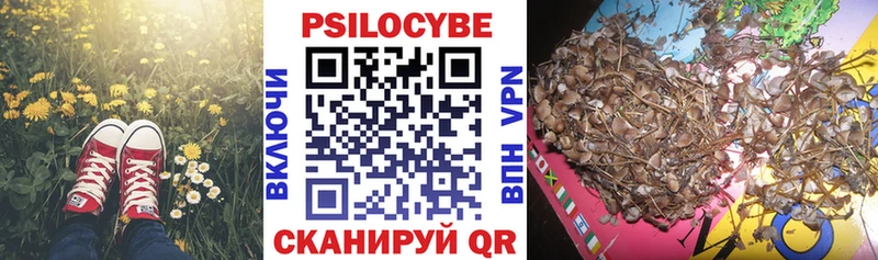 Купить  Лобня  Галлюциногенные грибы Cubensis 